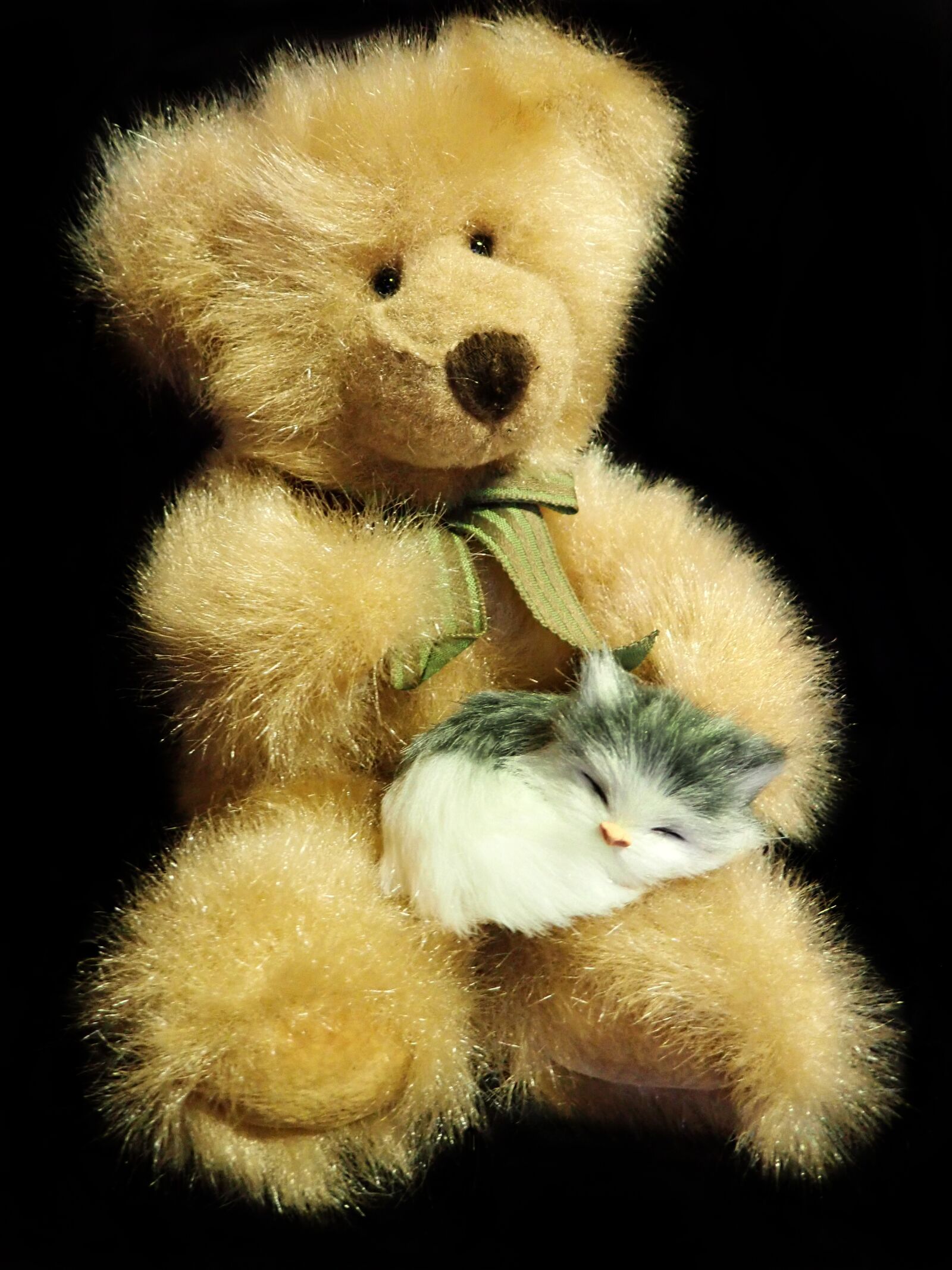 Olympus TG-5 sample photo. Teddy, bear, toy photography
