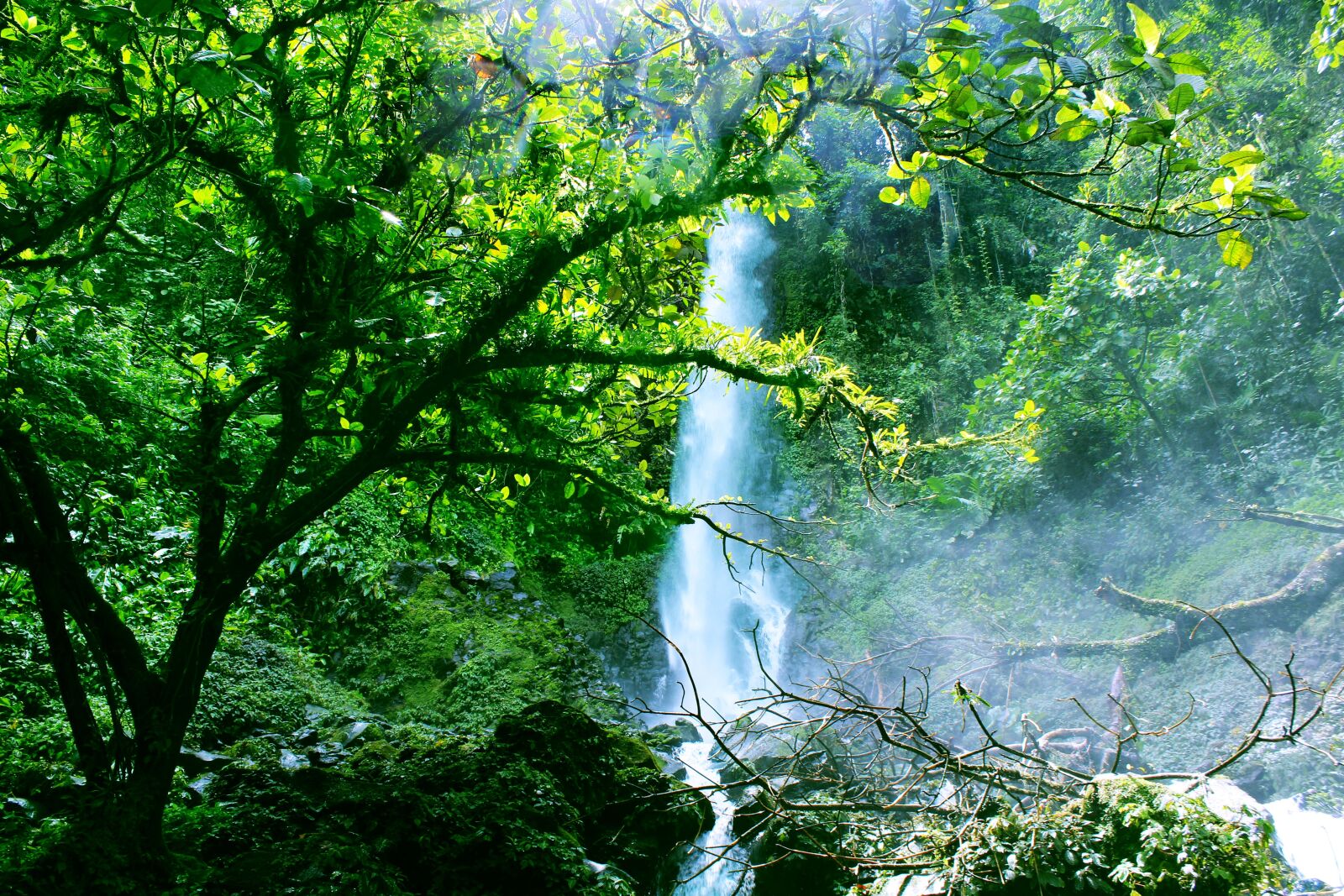 Canon EOS 1200D (EOS Rebel T5 / EOS Kiss X70 / EOS Hi) sample photo. Green, waterfall, rain forest photography