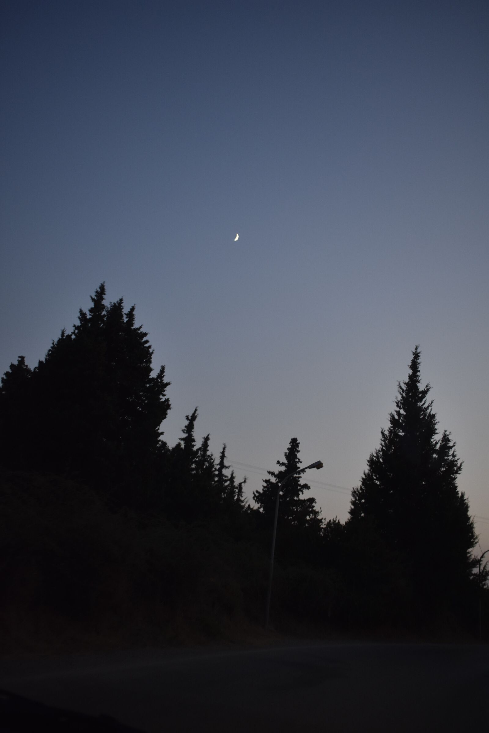 Nikon D3400 sample photo. Trees, kos, nature photography