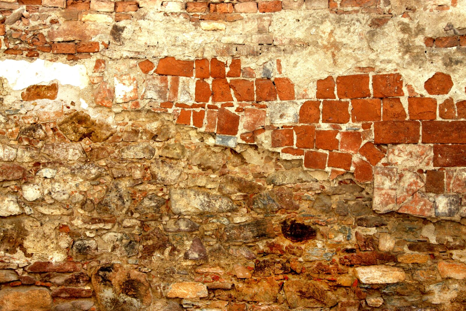 Canon EOS 40D sample photo. Wall, texture, bricks photography