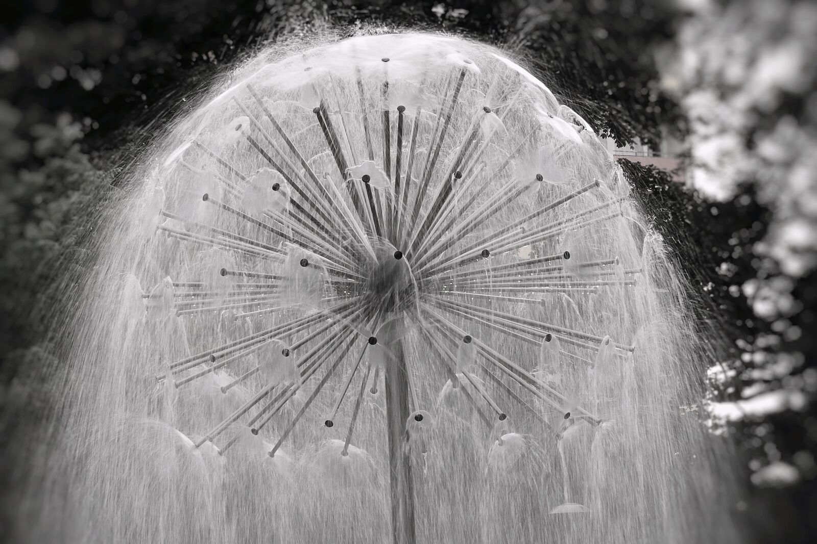 Nikon Coolpix P900 sample photo. Fountain, park, water photography