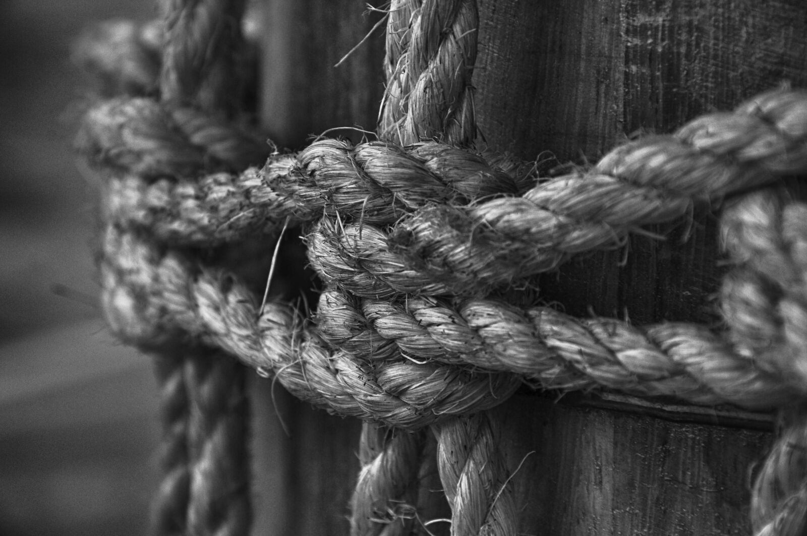 Nikon D90 sample photo. Grayscale, photo, of, rope photography