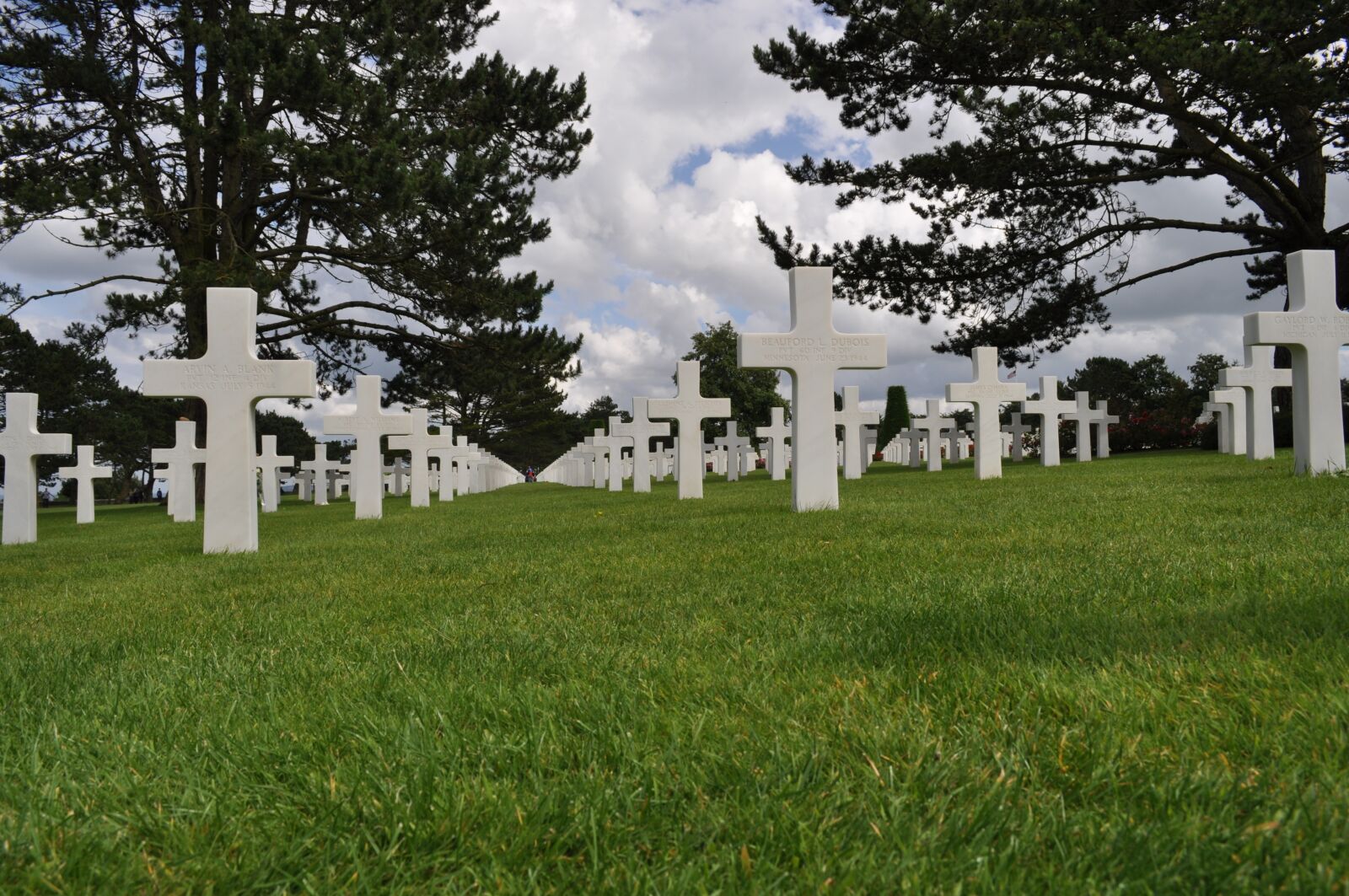 Nikon D5000 sample photo. Cemetery, lawn, tree photography