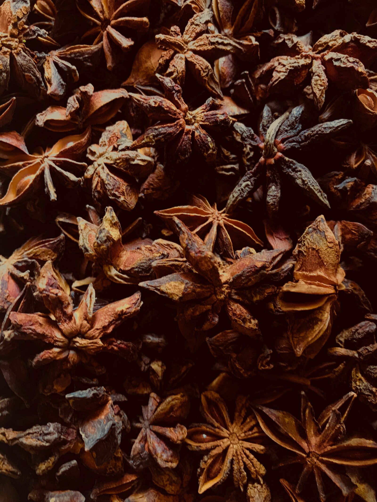 Apple iPhone 7 sample photo. Anise, starry, spices photography