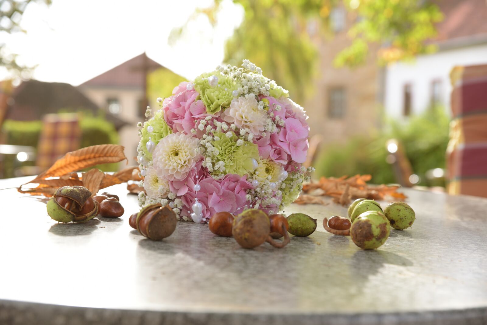 Nikon D750 sample photo. Bouquet, autumn, chestnut photography