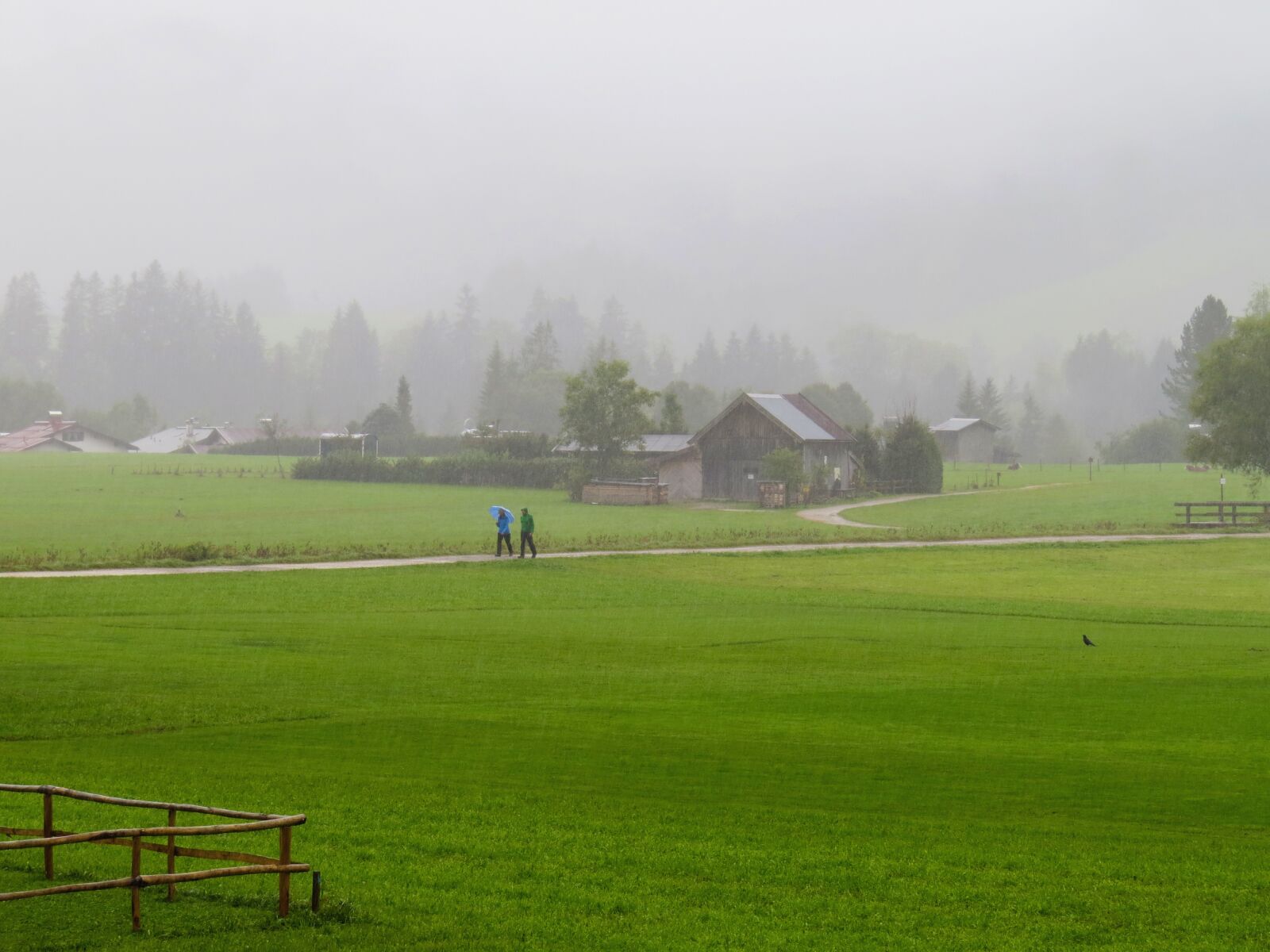 Canon PowerShot SX50 HS sample photo. Travel, vacations, rain photography