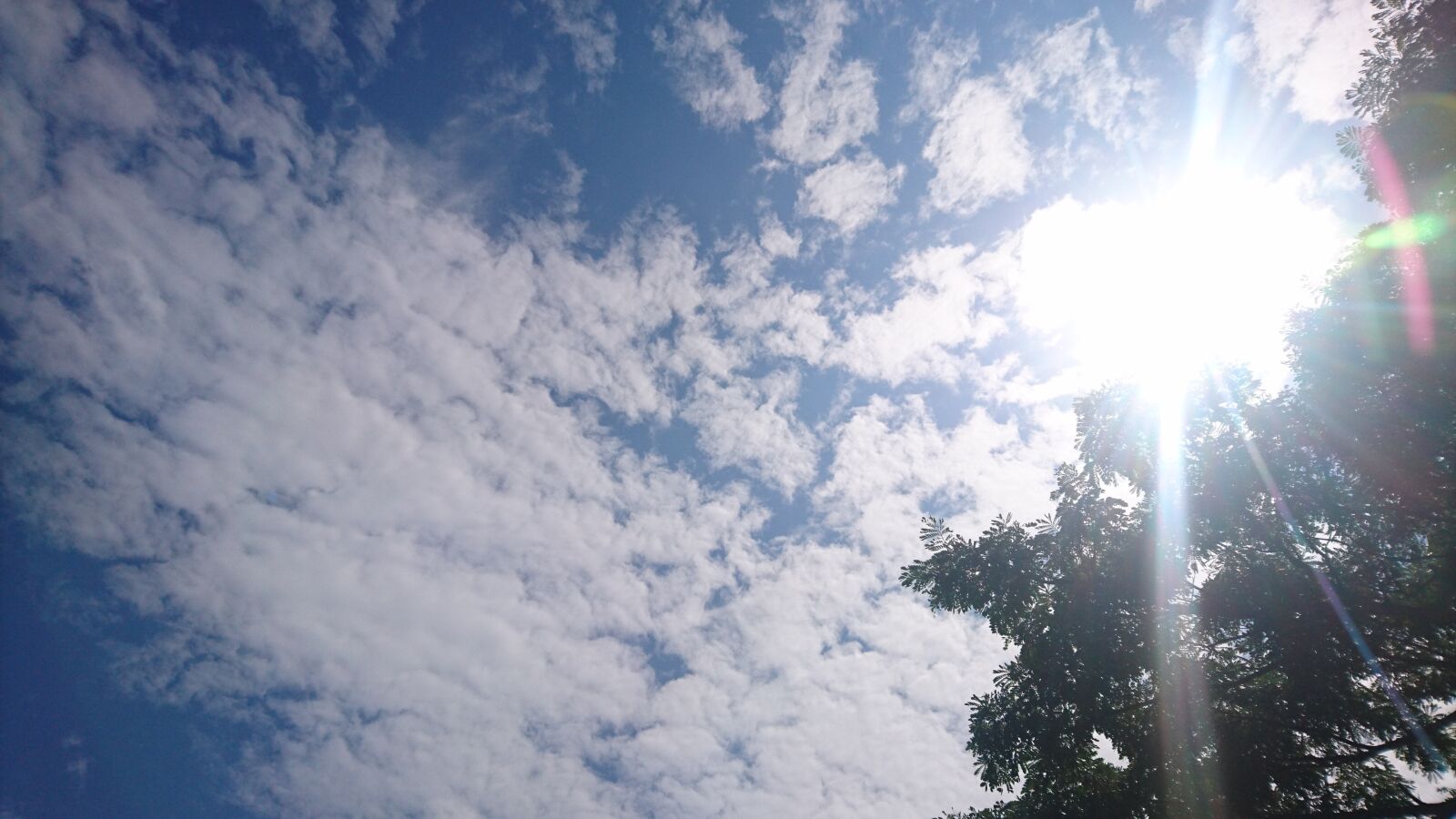 Sony Xperia Z5 sample photo. Sun, home, weather photography