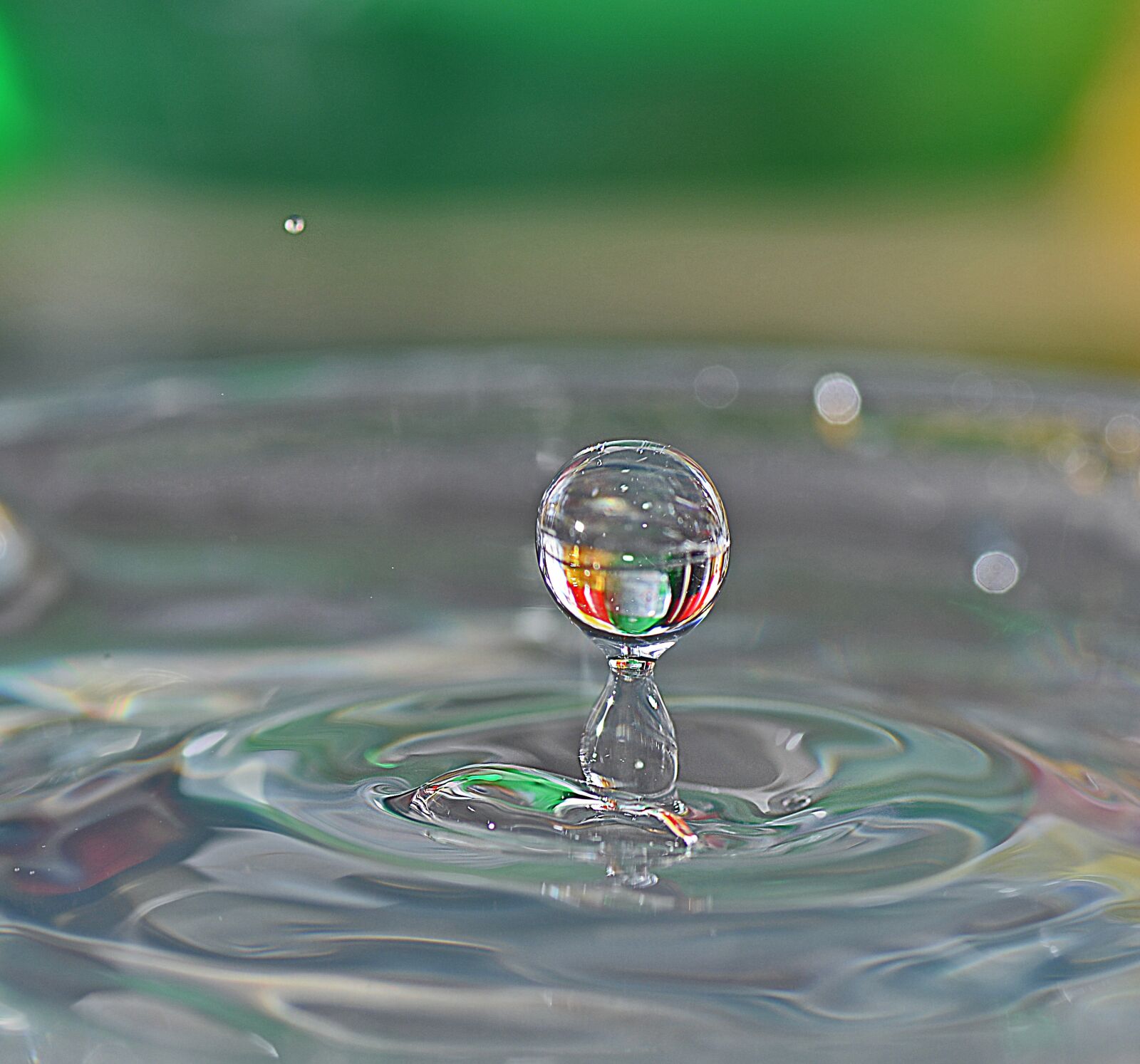 Nikon D800E sample photo. Wet, drop, h2o photography