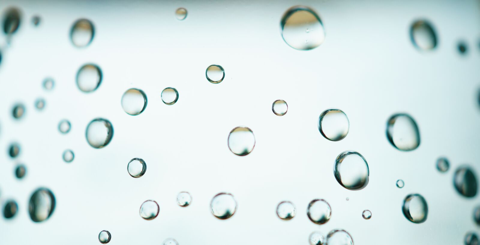 Sony DT 30mm F2.8 Macro SAM sample photo. Bubbles, clear, dew, droplets photography
