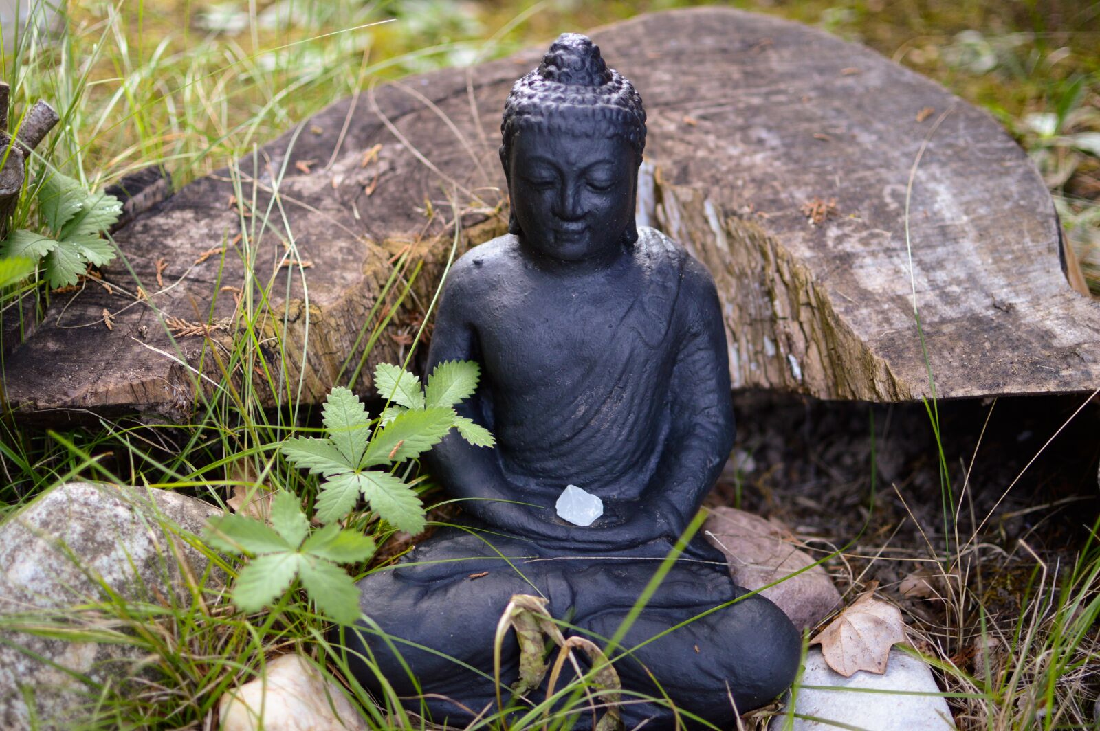 Nikon D3200 sample photo. Buddha, buddhism, inner calm photography