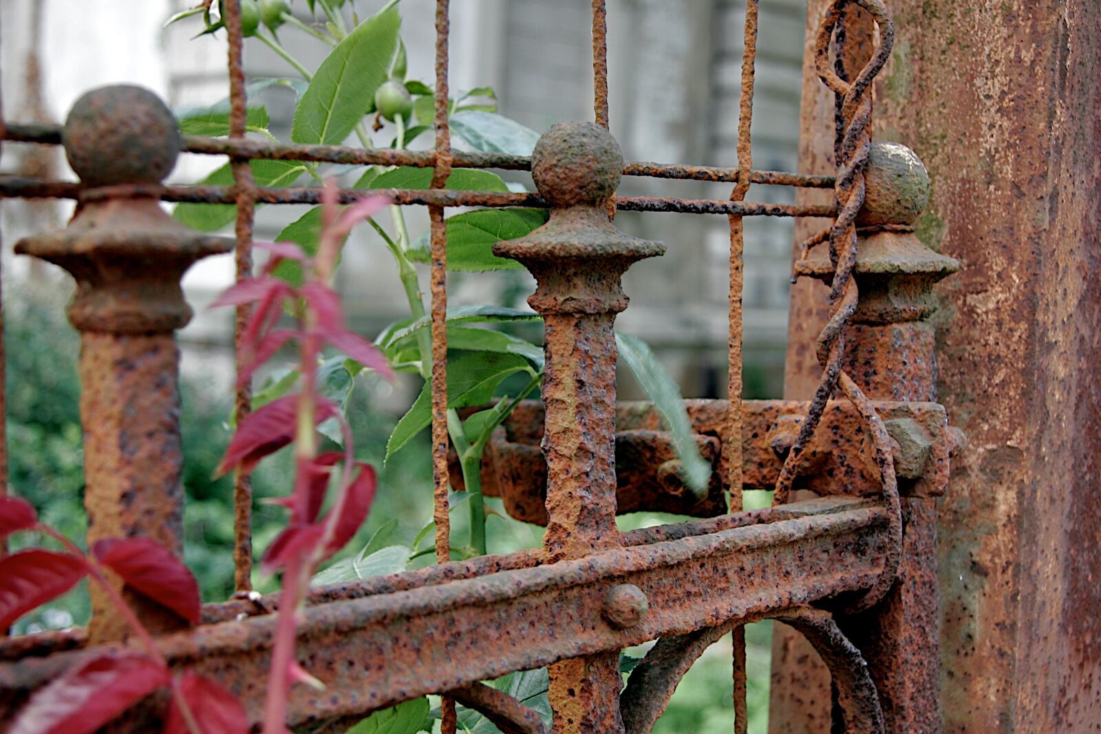 Canon EOS 20D sample photo. Fence, rust, old photography