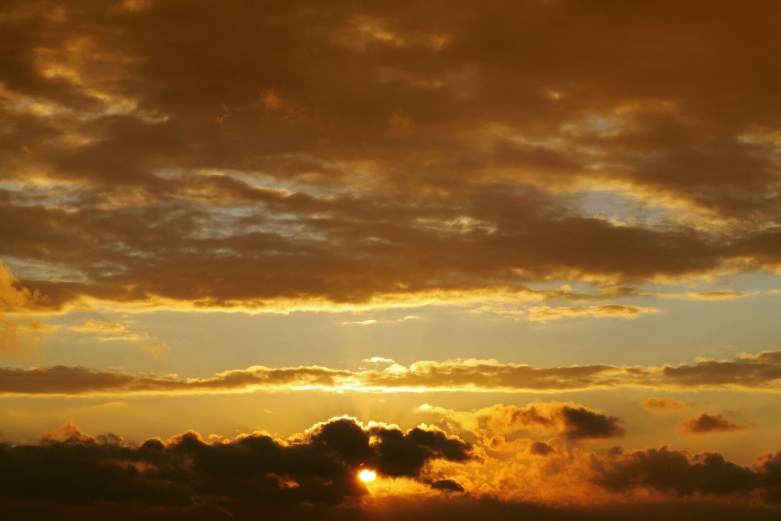 Canon EOS 5D Mark II sample photo. Evening, sky, sunset photography