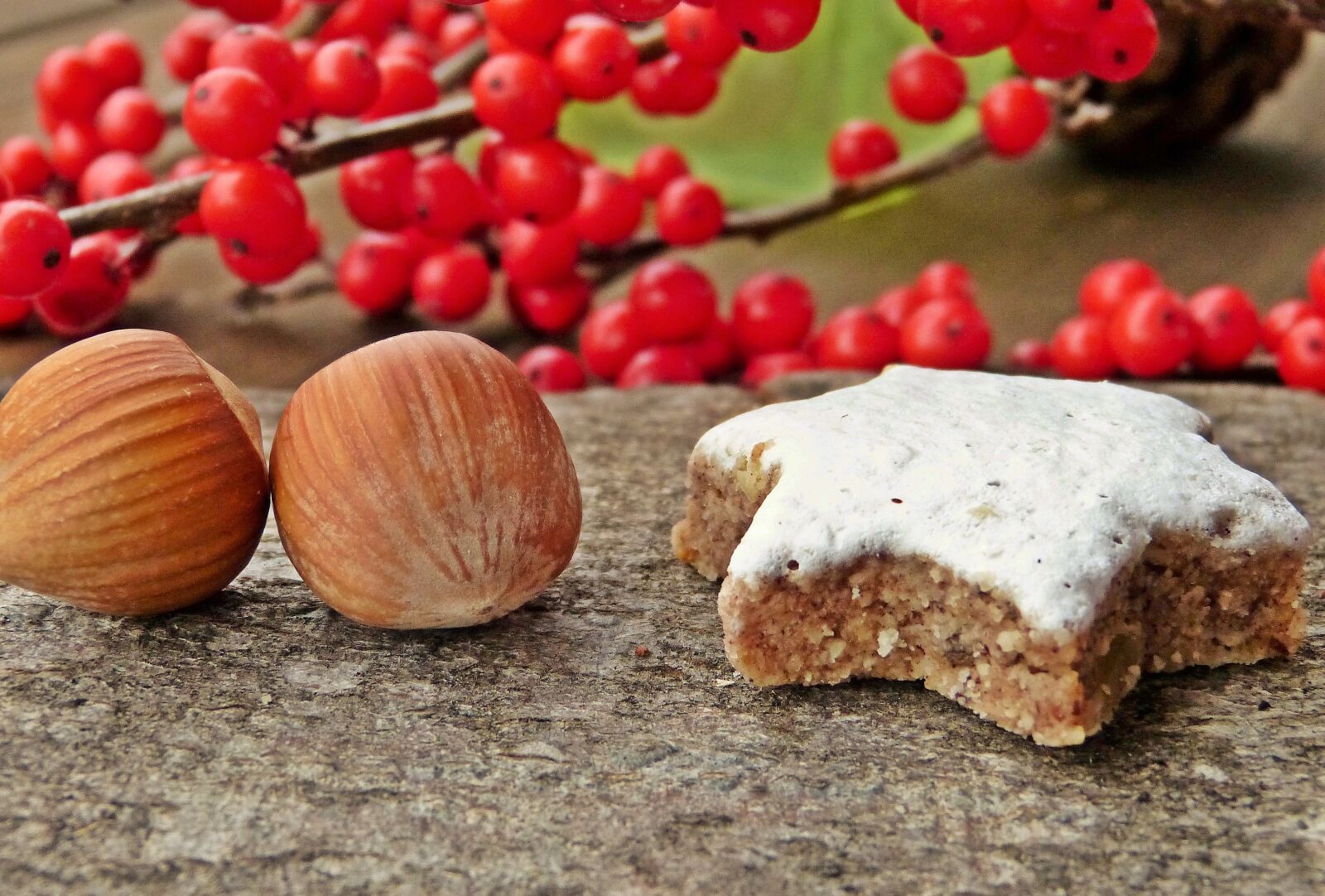 Panasonic Lumix DMC-FZ150 sample photo. Zimtstern, hazelnuts, winter berry photography