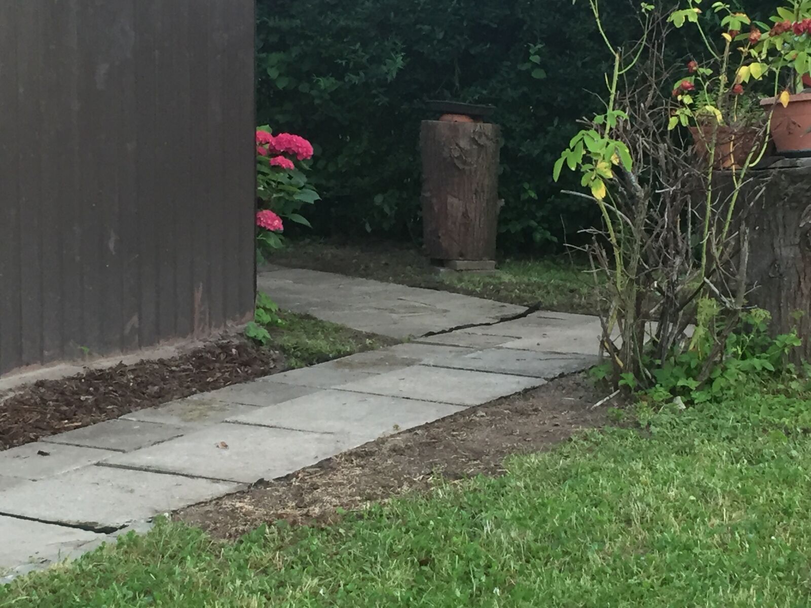 Apple iPhone 6 sample photo. Garten photography