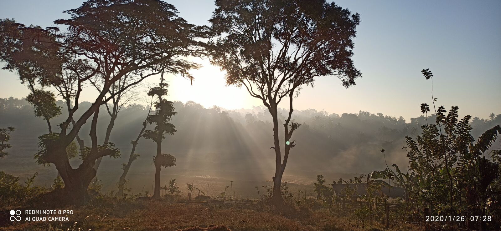 Xiaomi Redmi Note 8 Pro sample photo. Ponnampete, morning, sunrise shades photography
