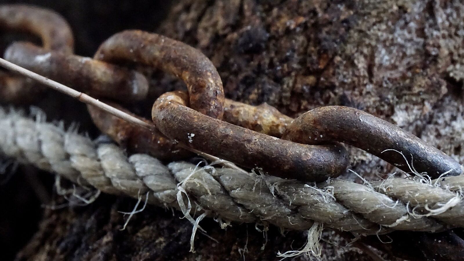 Sony a6000 sample photo. Chain, rope, security photography