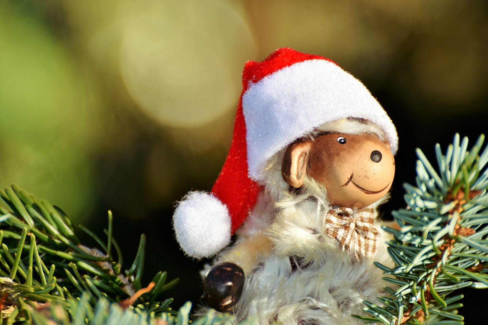 Nikon D7200 sample photo. Christmas, christmas tree, christmas photography