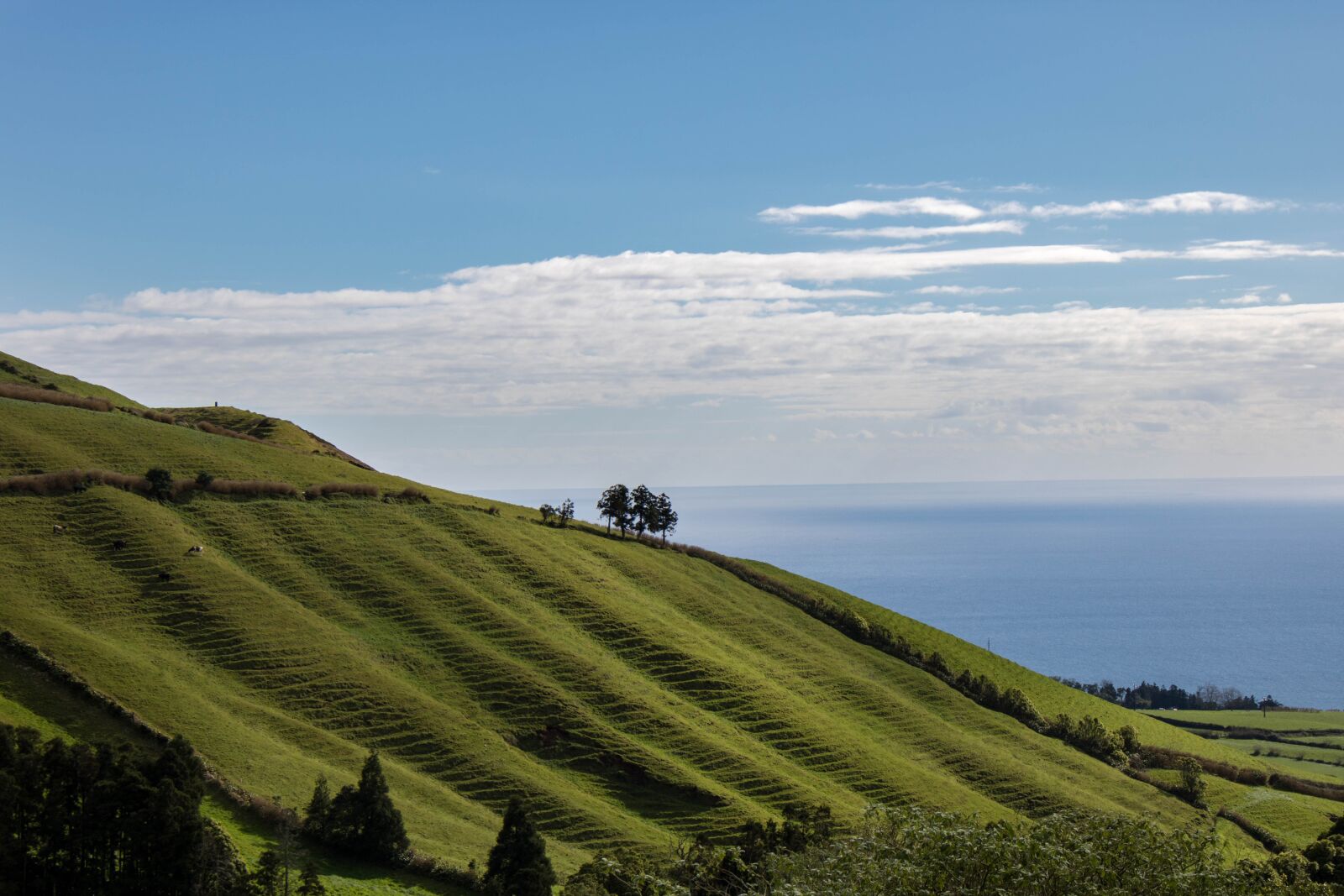 Canon EOS 750D (EOS Rebel T6i / EOS Kiss X8i) sample photo. Nature, landscape, terraces photography