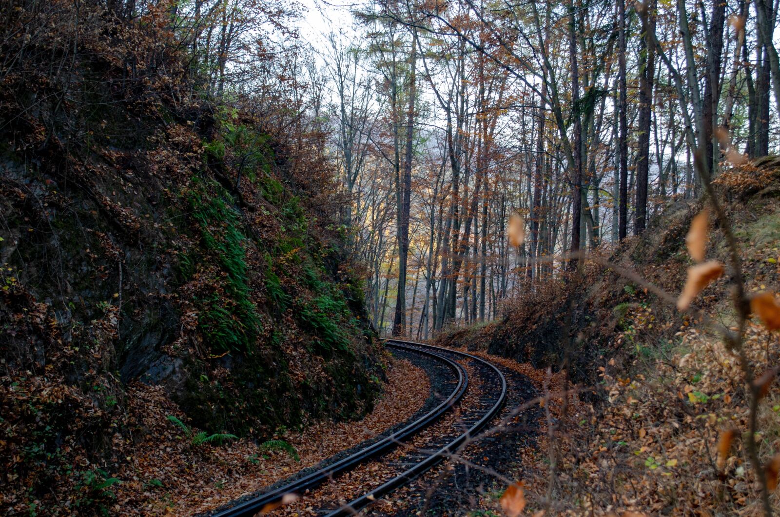 Nikon D5100 sample photo. Resin, railway, rails photography