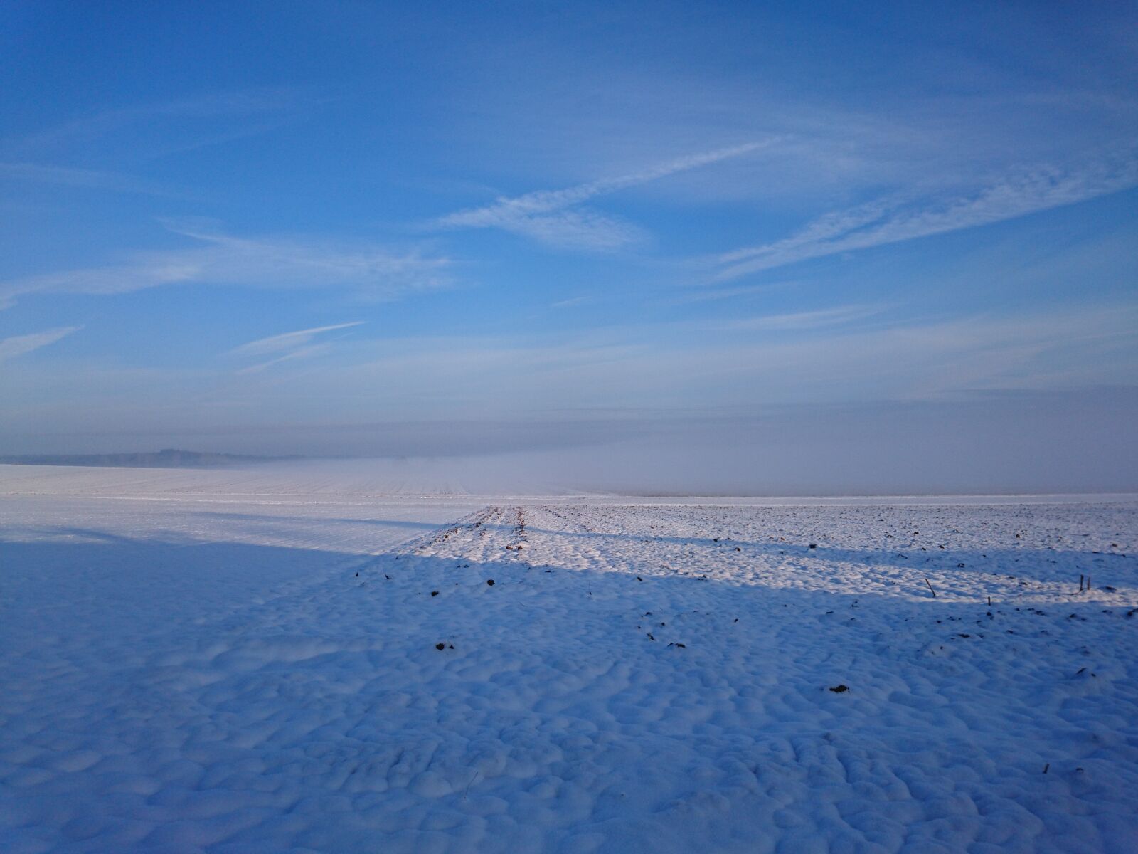 Sony Xperia Z3+ sample photo. Winter, cold, snow photography