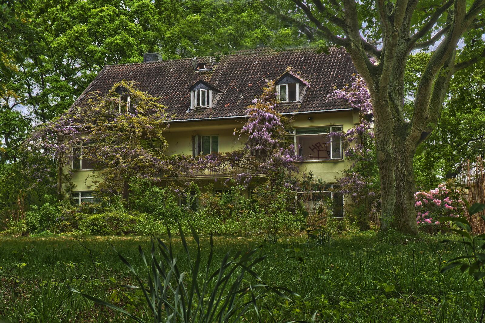 Olympus OM-D E-M10 sample photo. House, architecture, rural photography