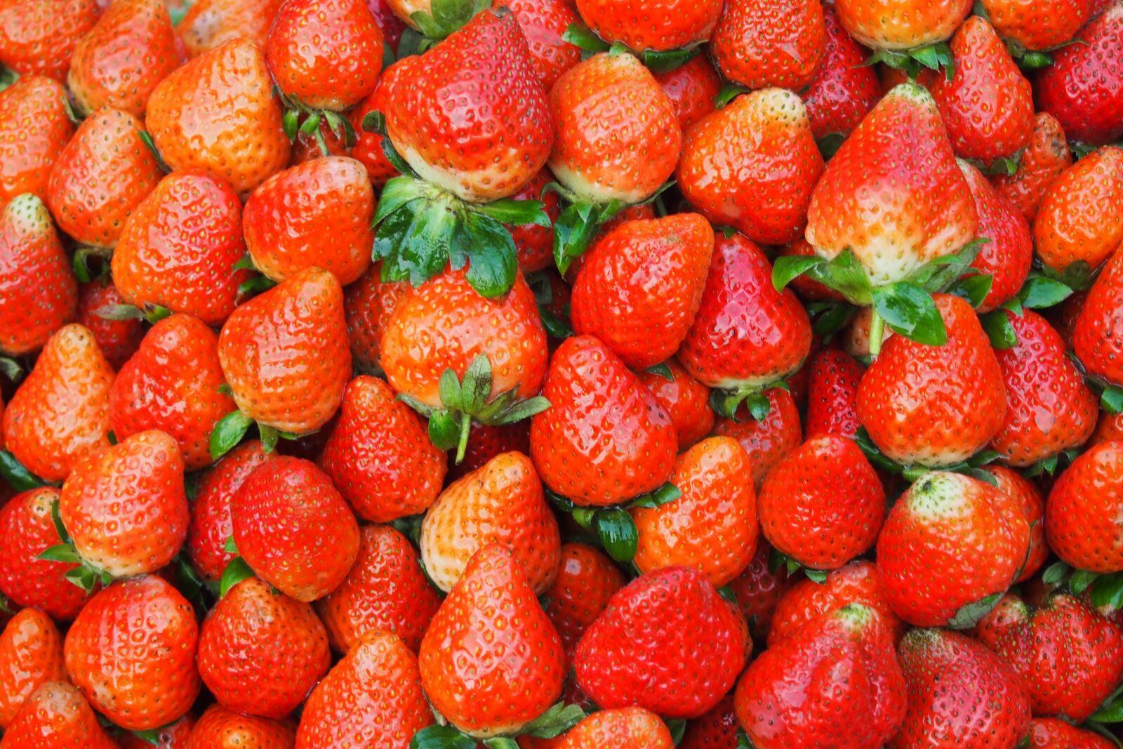Olympus PEN E-P5 sample photo. Strawberries, strawberry pie, collection photography