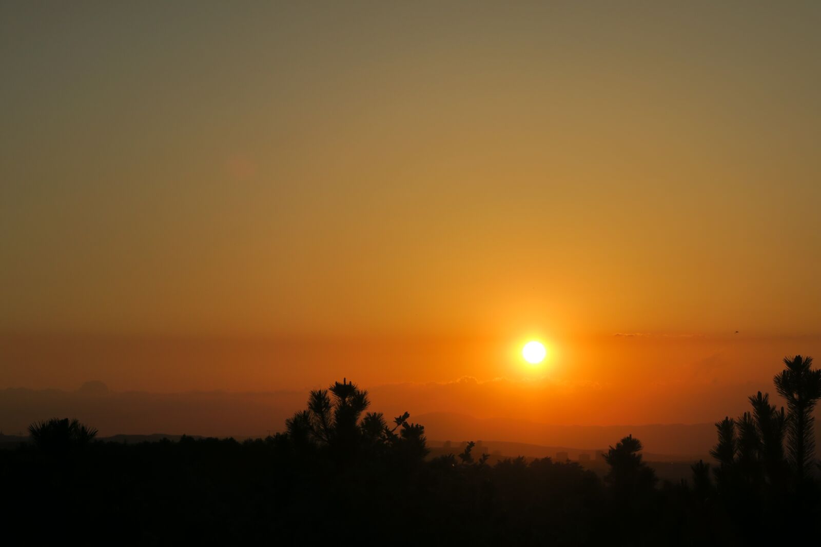 Canon PowerShot G7 X sample photo. Sunset, dawn, solar photography