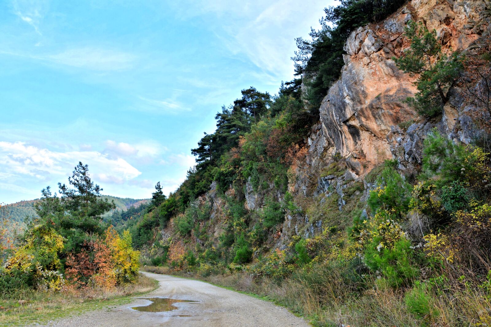 Nikon D7100 sample photo. Autumn, season, nature photography