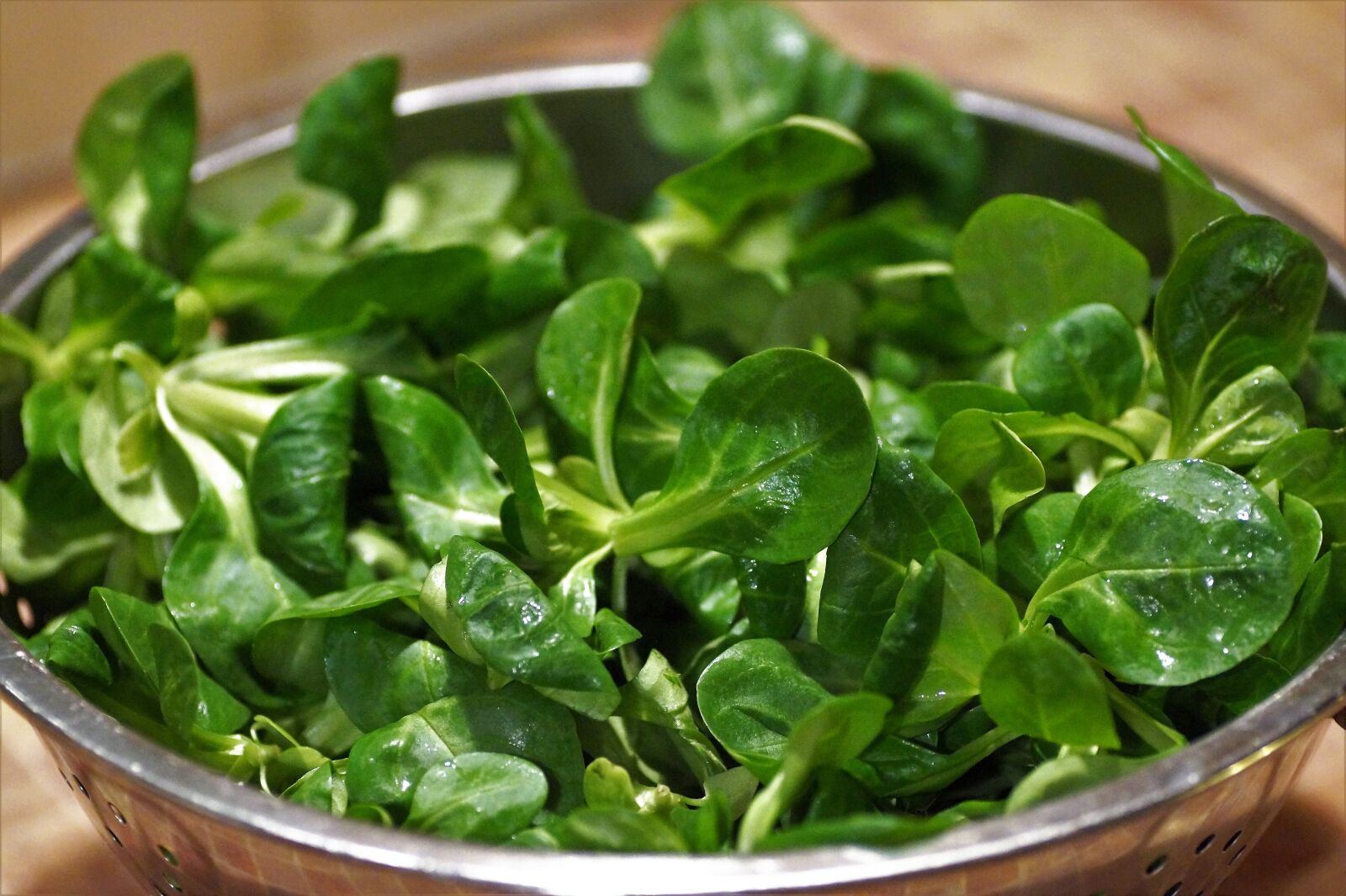 Sony SLT-A58 sample photo. Salad, lamb's lettuce, field photography