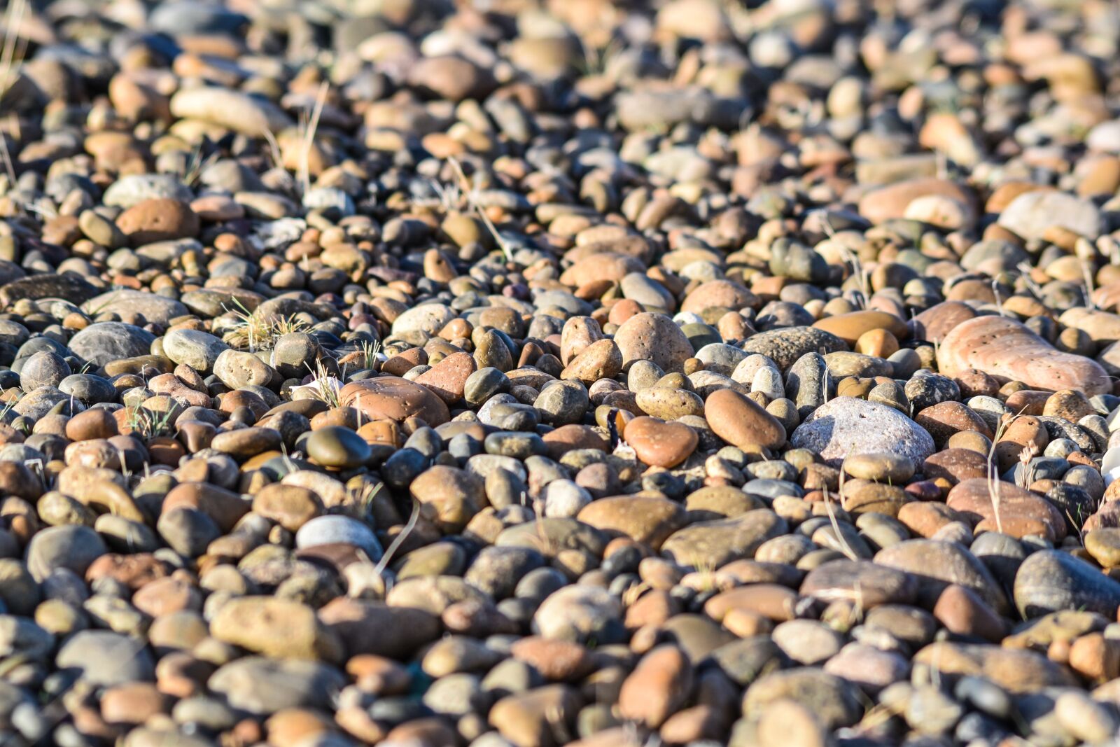 Nikon D5500 sample photo. Stones, beach, costa photography