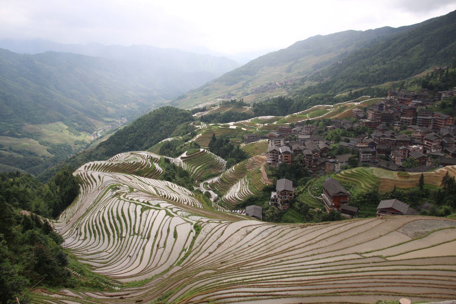 Canon EOS 700D (EOS Rebel T5i / EOS Kiss X7i) sample photo. Rice fields, houses, agriculture photography