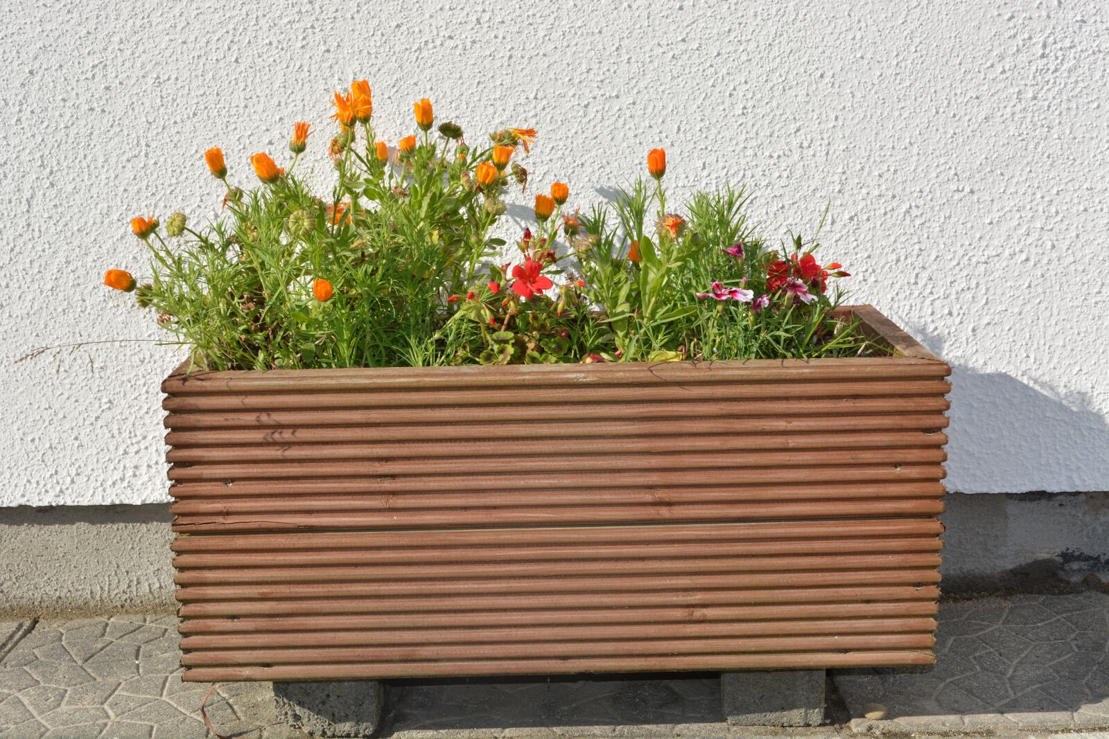 Nikon D5200 sample photo. Flower box, garden, gardening photography