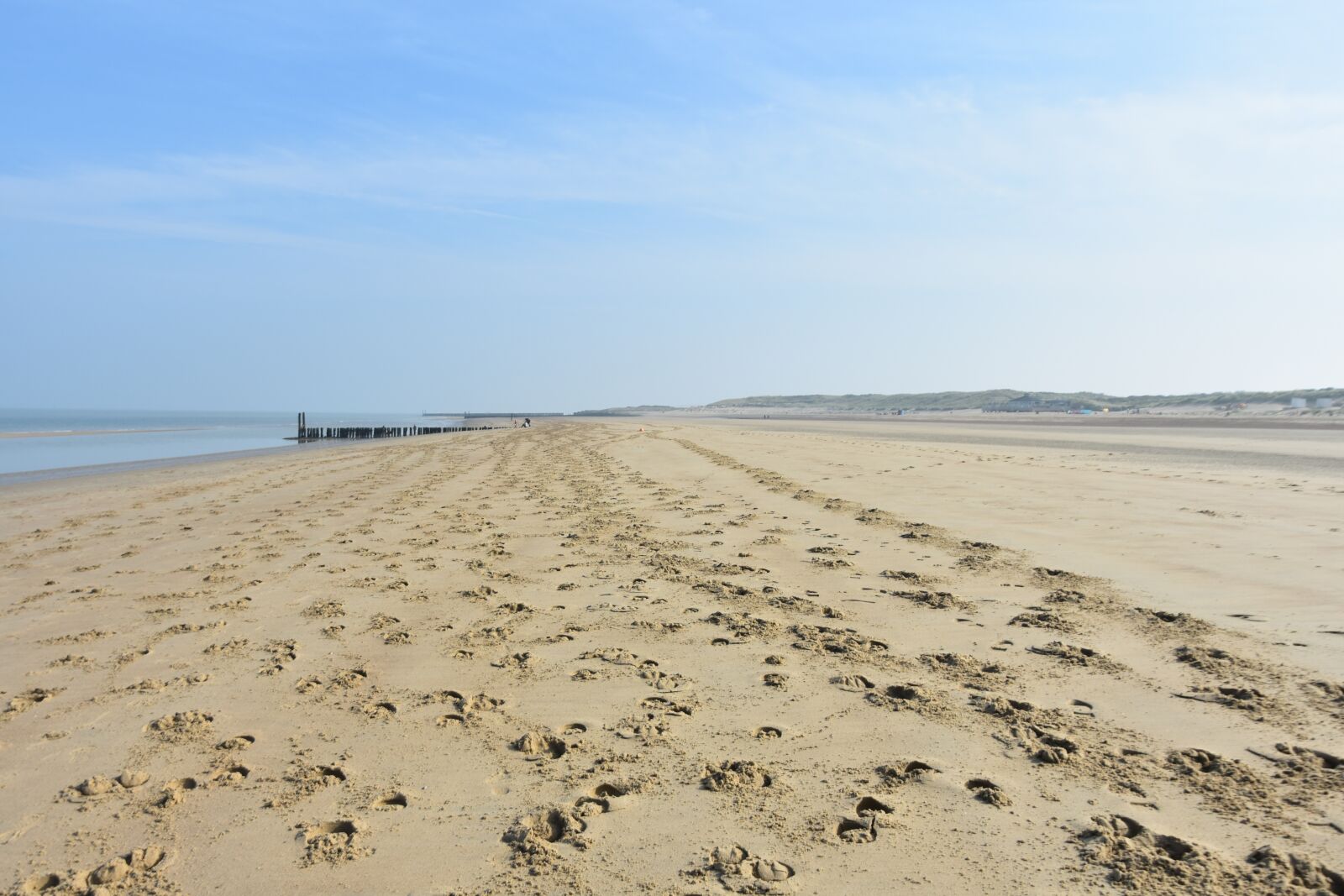Nikon D3400 sample photo. Horse tracks, beach, ride photography