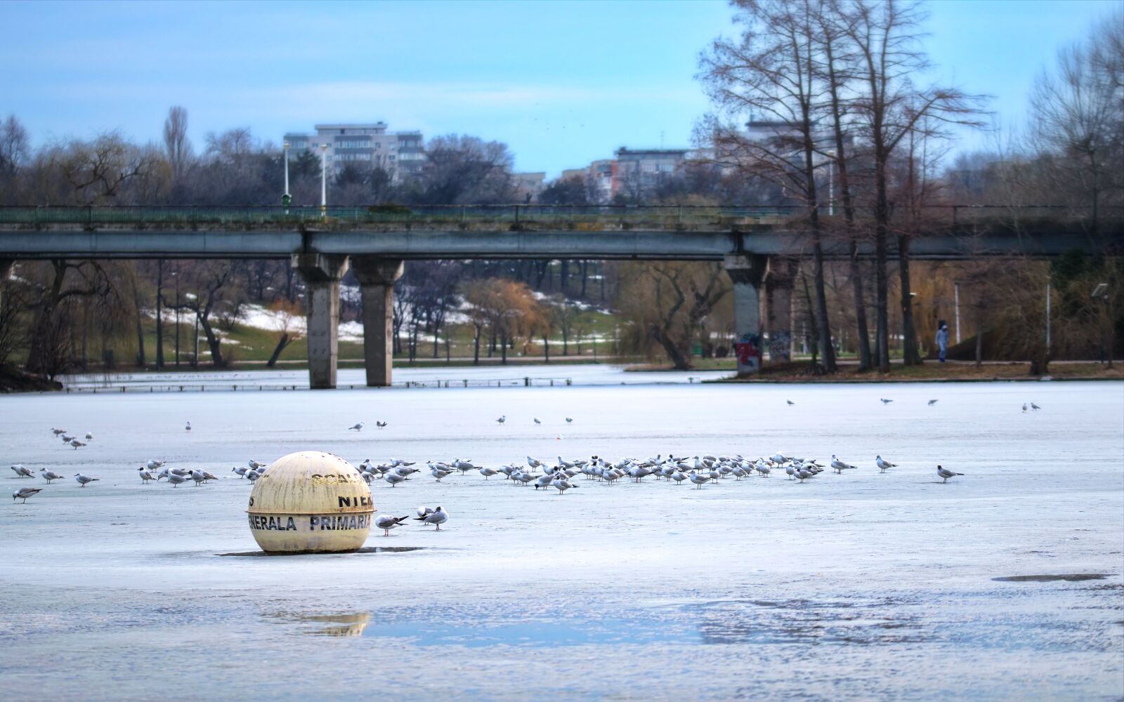 Nikon D5300 sample photo. Landscape, park, lake photography
