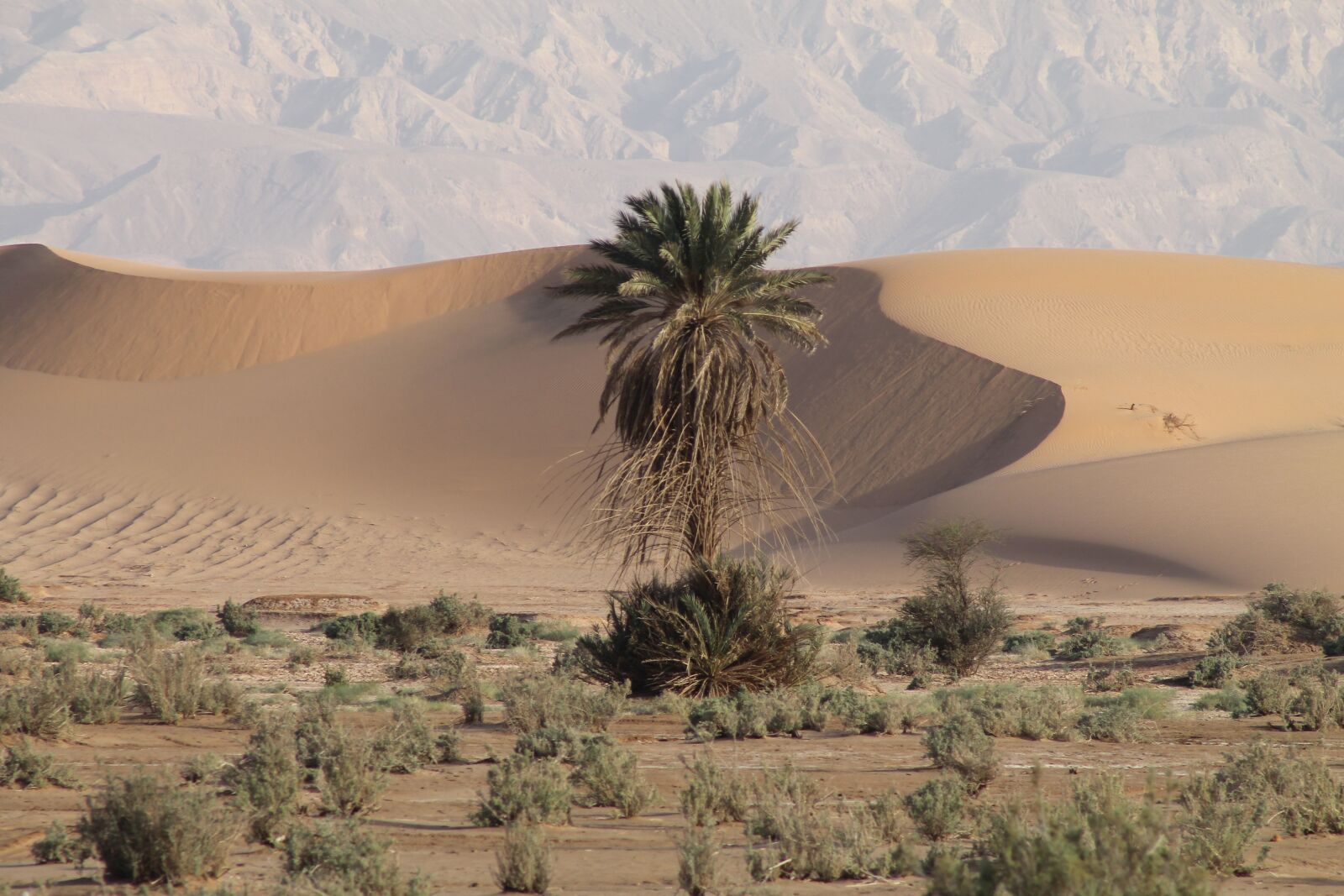 Canon EF75-300mm f/4-5.6 sample photo. Jordan, travel, desert photography