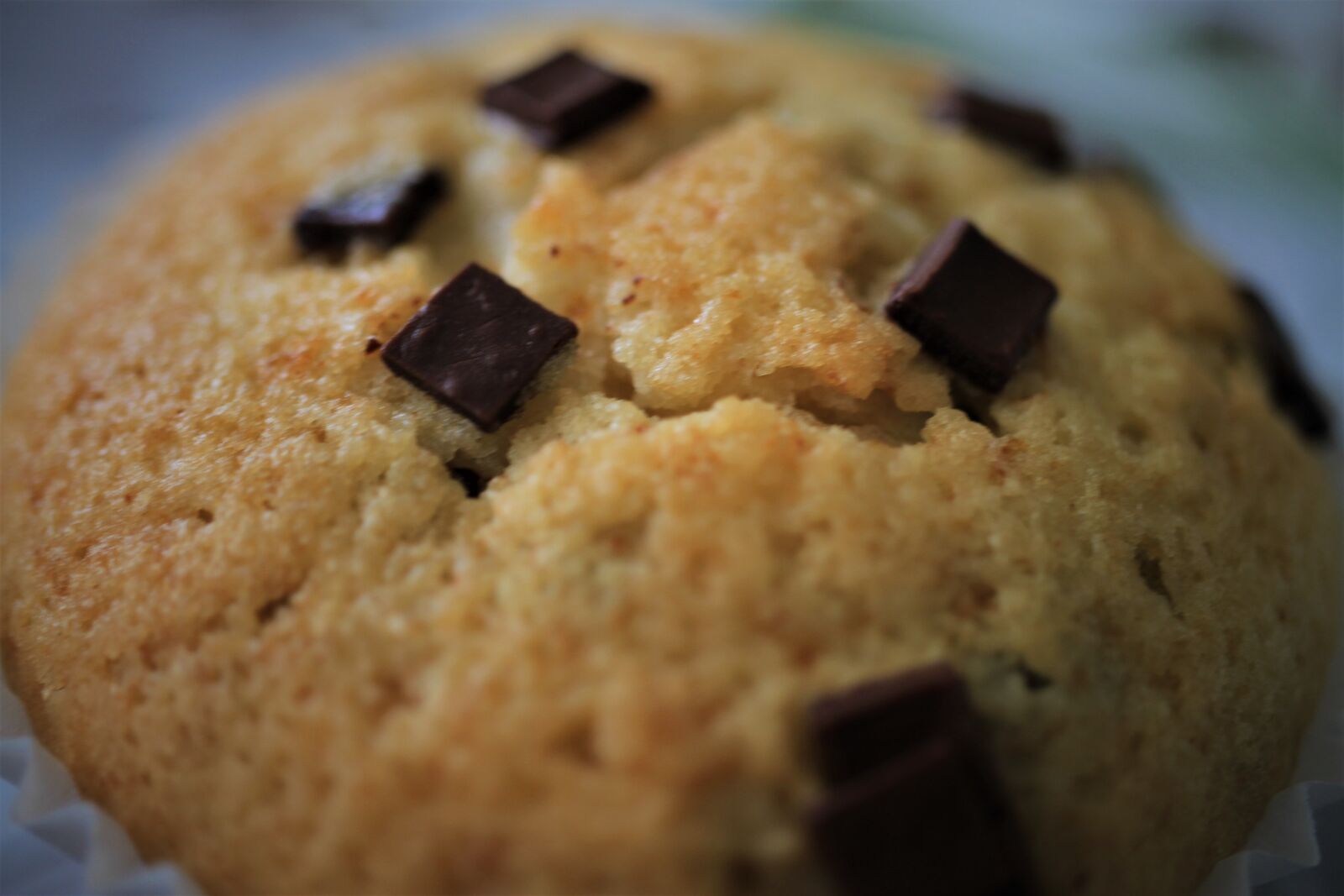 Canon EF-S 35mm F2.8 Macro IS STM sample photo. Muffin, chocolate, delicious photography