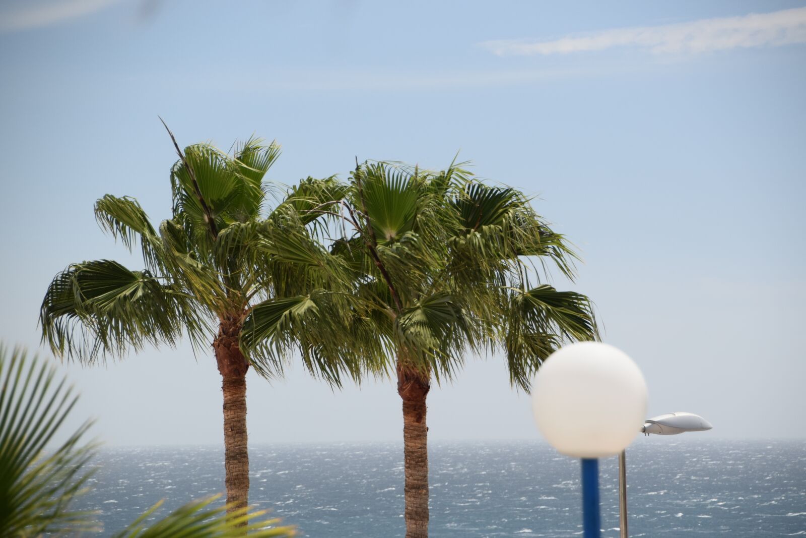 Nikon D3300 sample photo. Palm trees, spain, gran photography