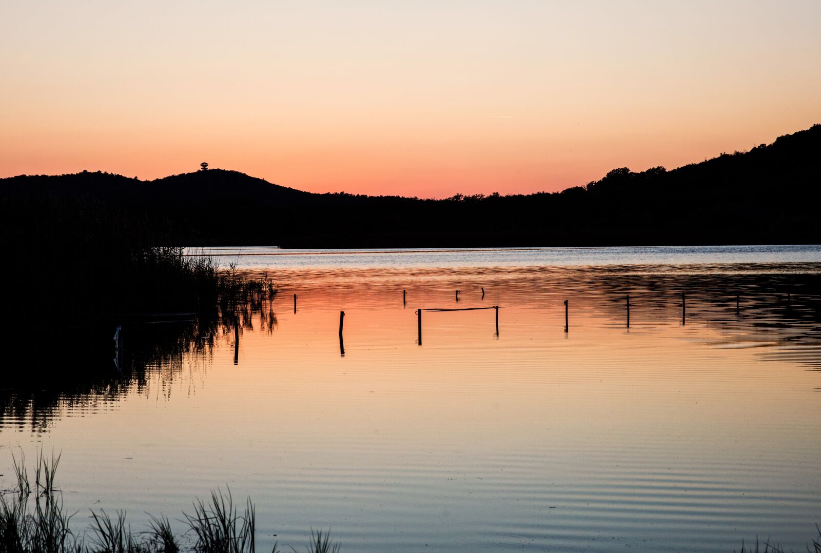 Canon EOS 5DS R sample photo. Lake, nature, lake balaton photography