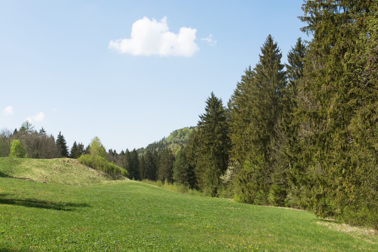 Nikon D7100 sample photo. Nature, landscape, hiking photography