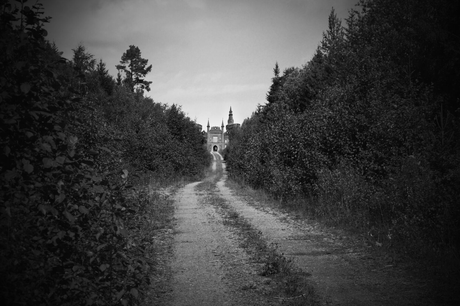 Nikon D3200 sample photo. Castle, forest, nature photography