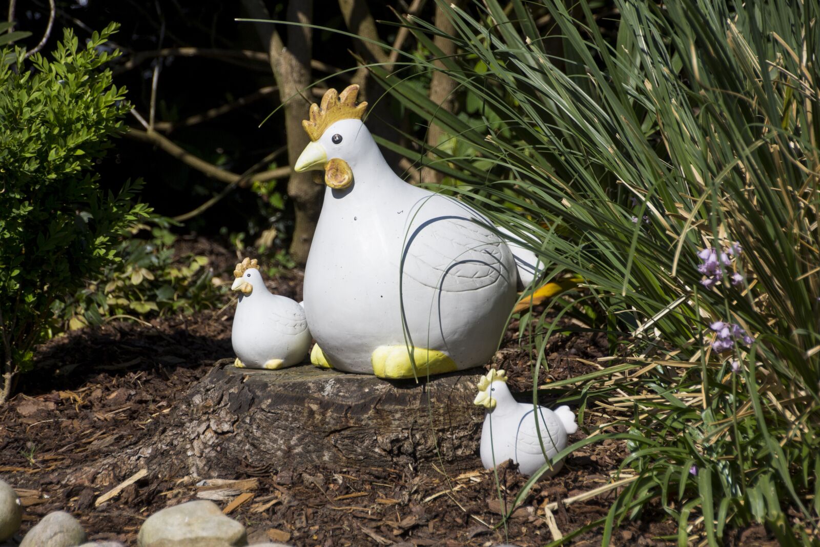 Canon EOS 60D sample photo. Deco, chicken, decoration photography