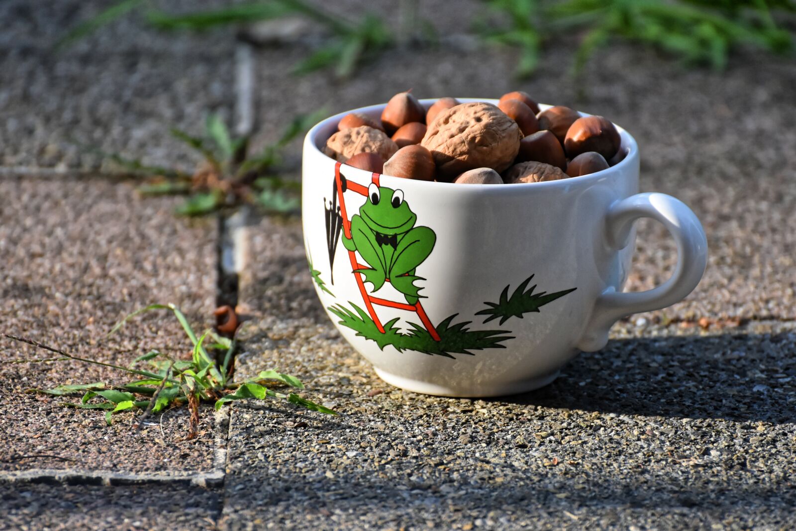 Nikon D7200 sample photo. Cup, nuts, walnuts photography