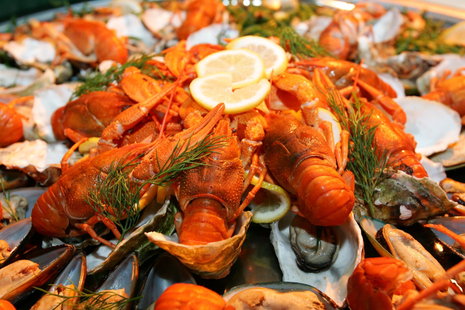 Canon EOS-1D Mark II sample photo. Lobster, seafood, buffet photography