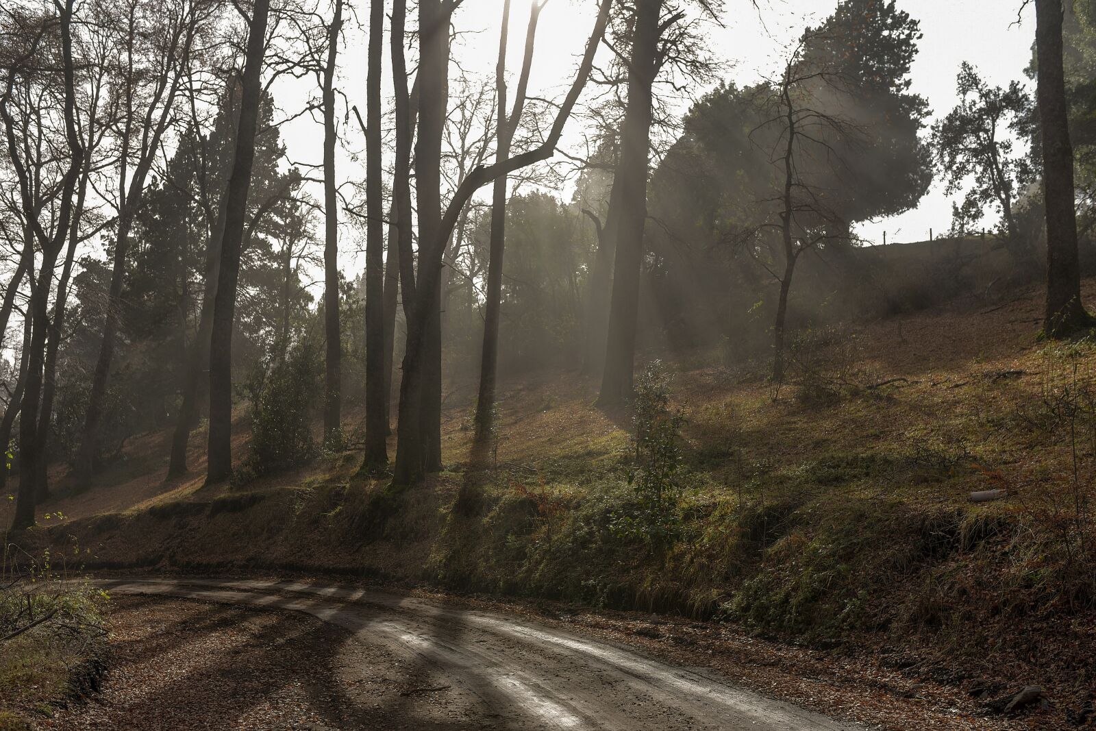 Nikon D750 sample photo. Sunrise, landscape, patagonia photography