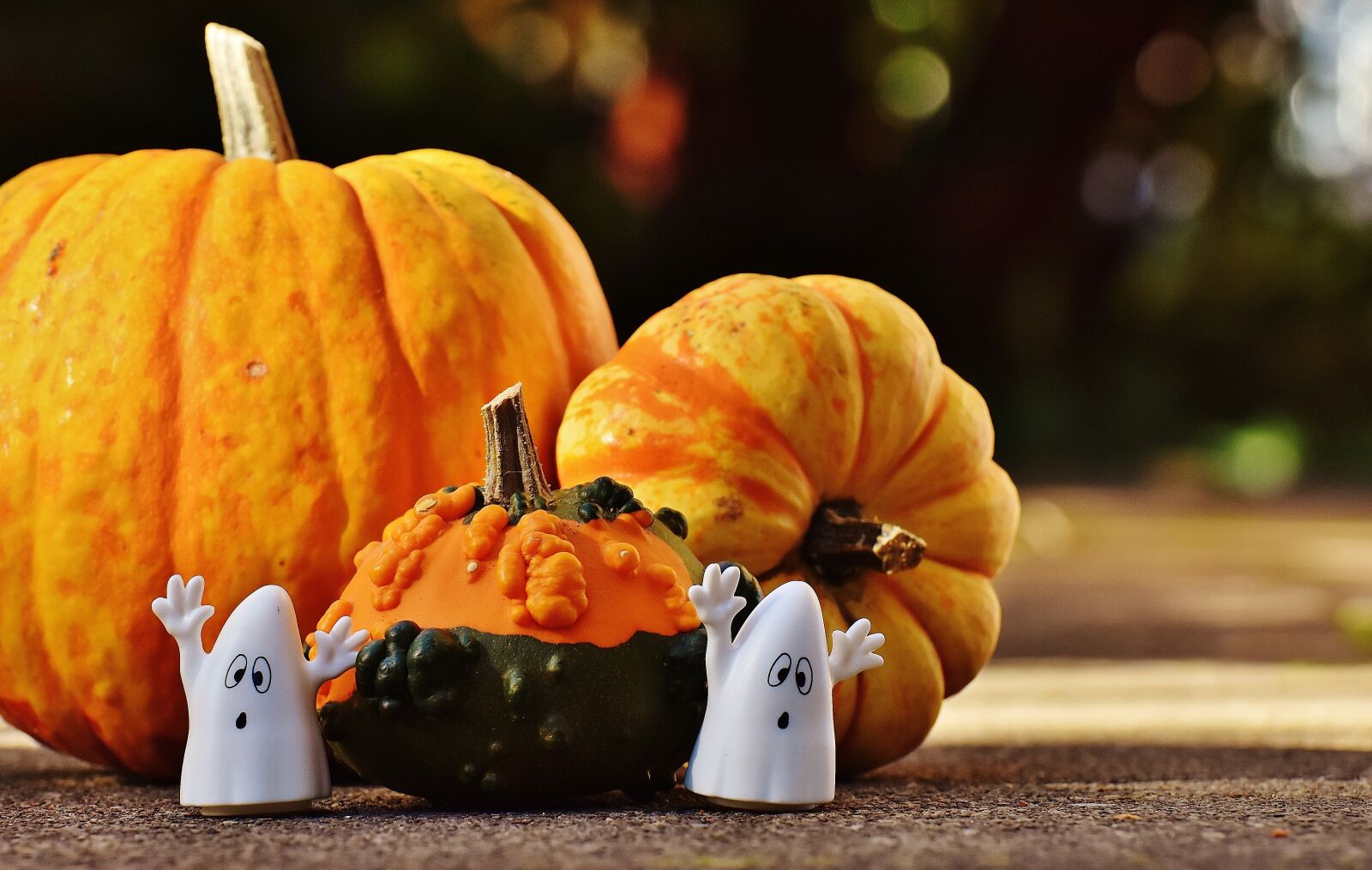 Nikon D7200 sample photo. Halloween, ghosts, pumpkin photography