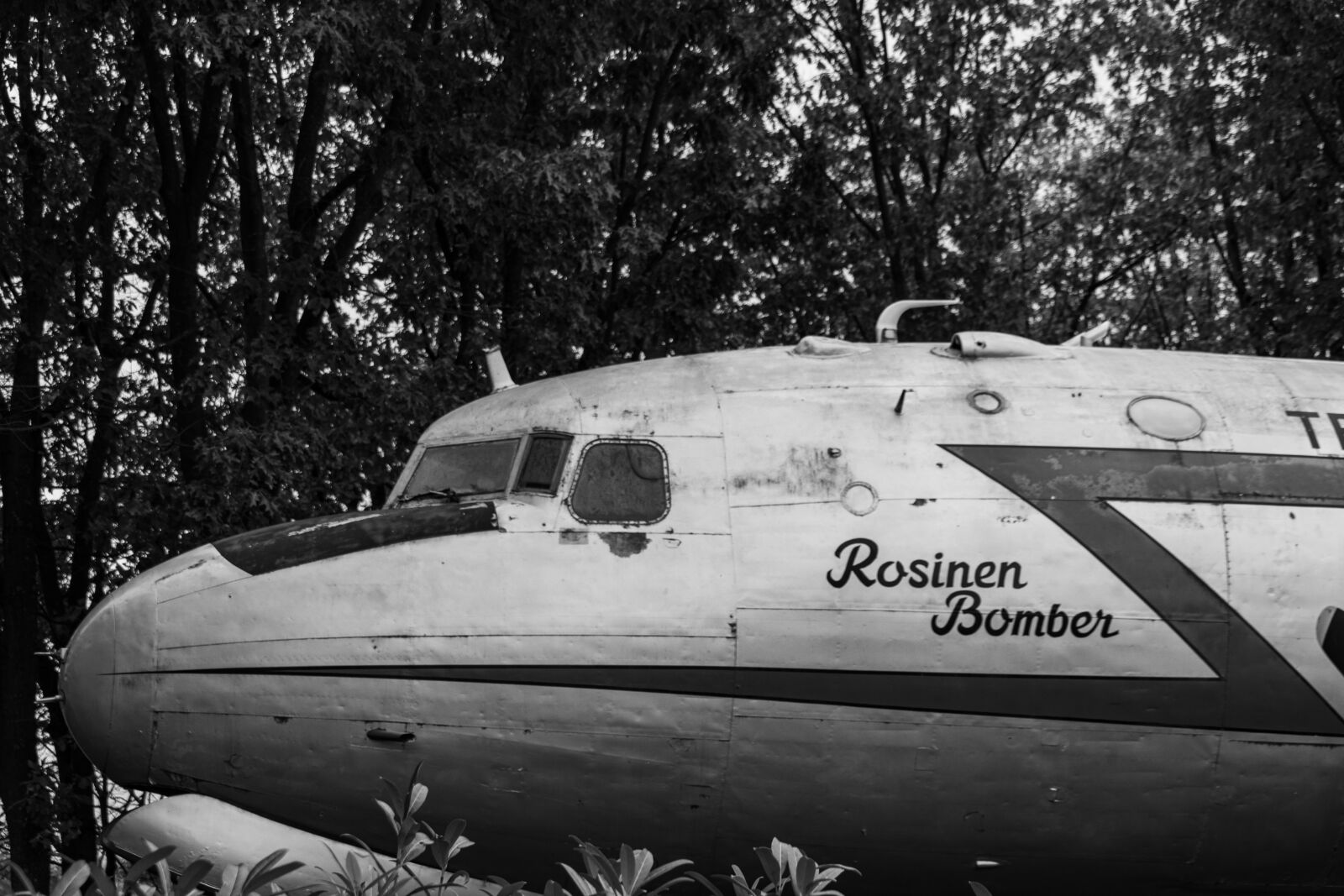 Canon EOS 90D sample photo. Aircraft, airplane, vehicle photography