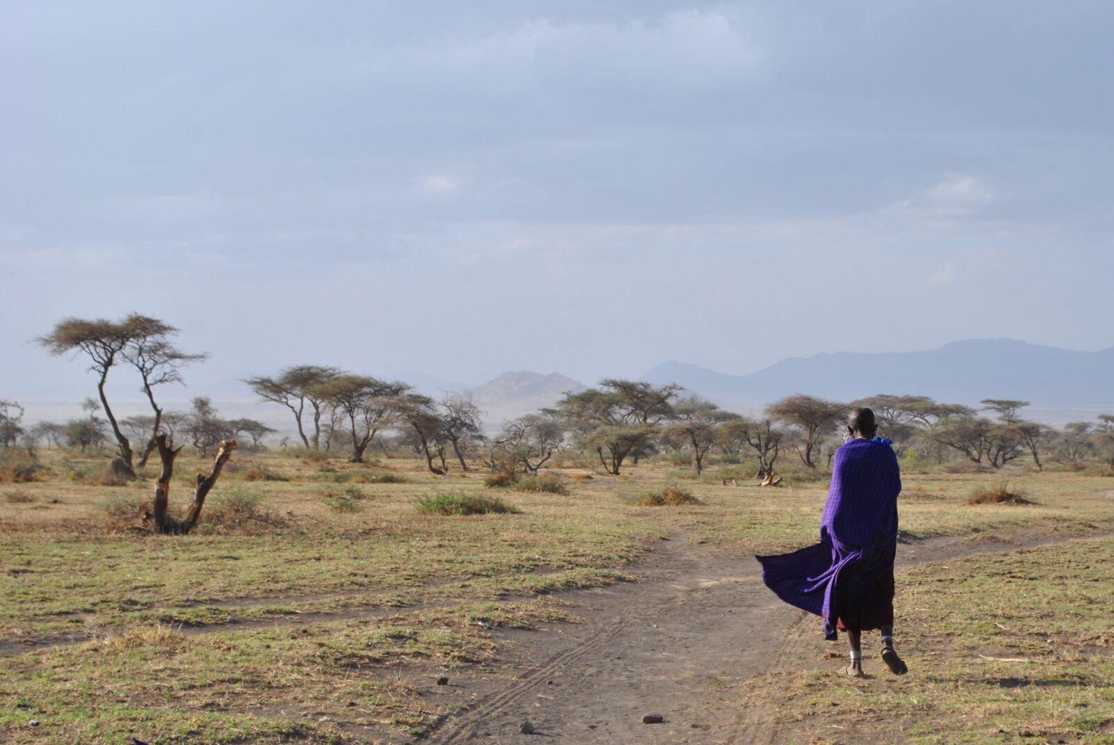 Nikon D3000 sample photo. Serengeti, massai, africa photography