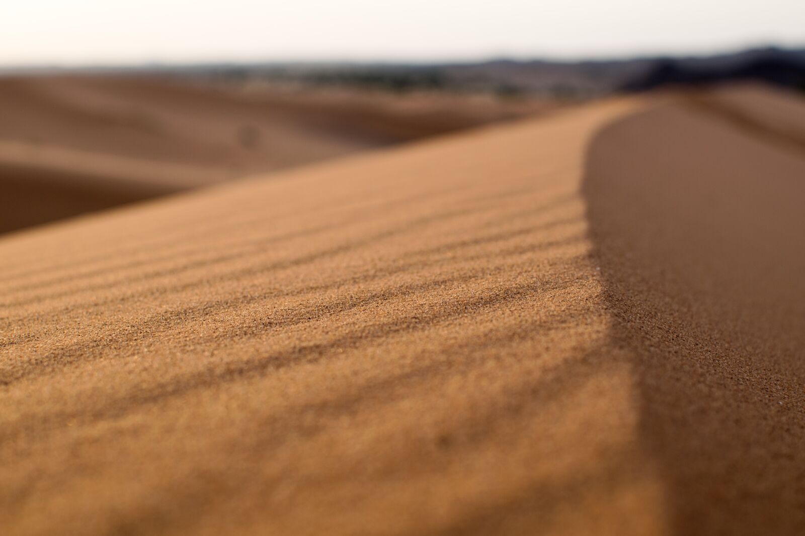 Nikon D3300 sample photo. Sand, dune, desert, landscape photography