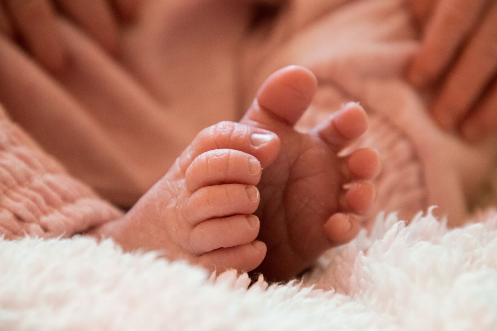 Nikon D3300 sample photo. Skin, hand, care photography