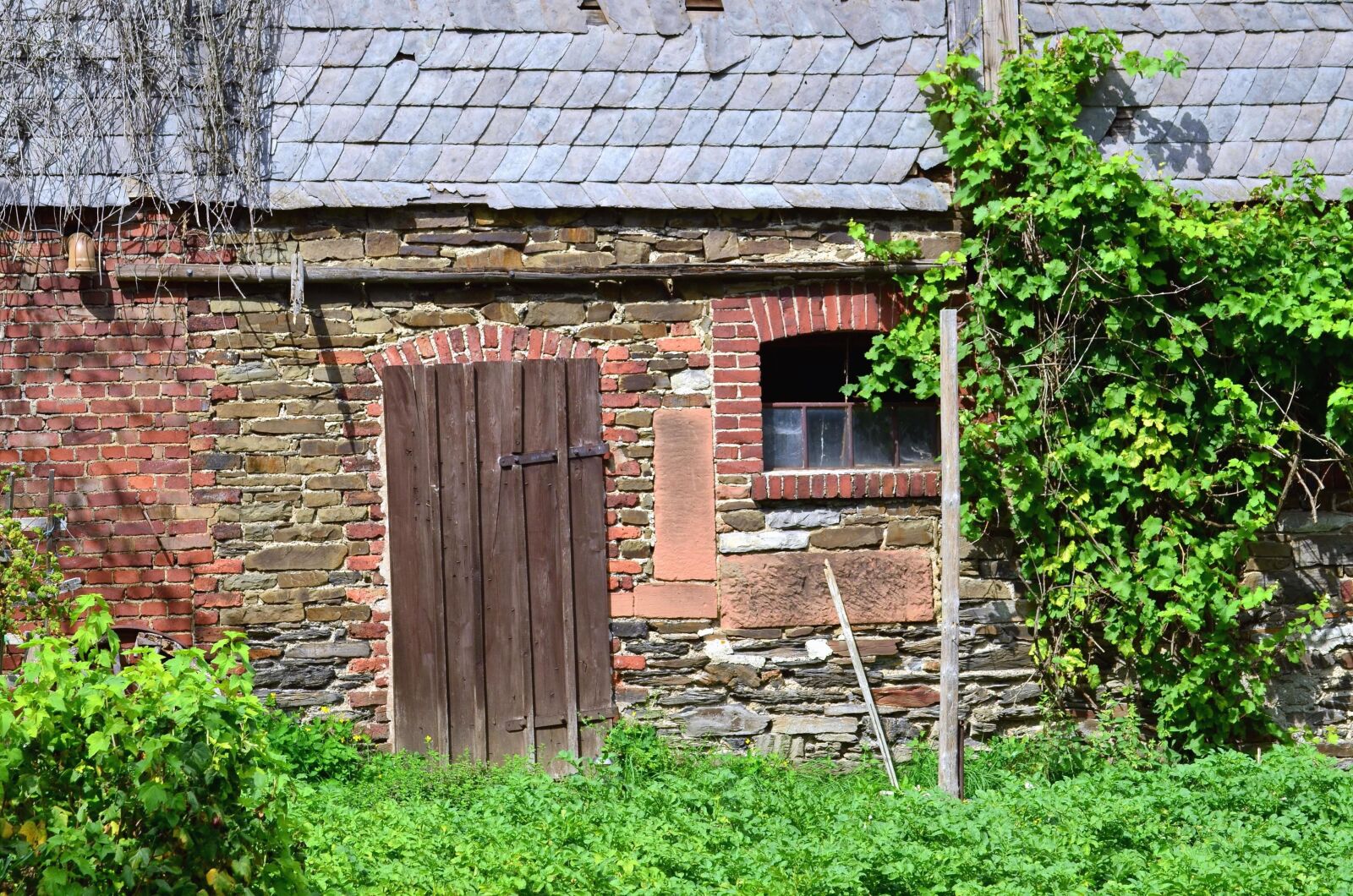 Nikon D5100 sample photo. House, brick, door, window photography